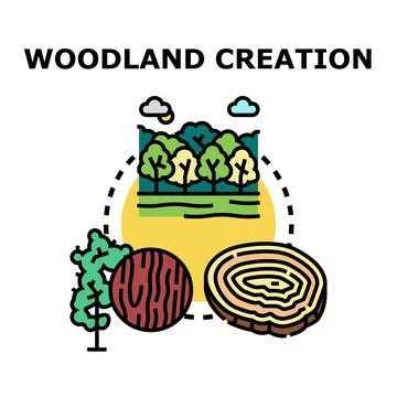 Woodland creation process exploring nature ecosystem growth Stock Illustration