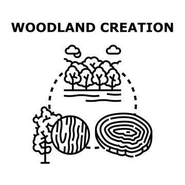 Woodland creation process exploring nature ecosystem growth Stock Illustration