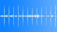 Woodland Evening Cotswold Birdsong 12 Loop Sound Effect