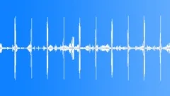 Woodland Evening Cotswold Birdsong 2 LoopSound Effect