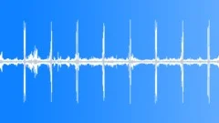 Woodland Evening Cotswold Birdsong 5 LoopSound Effect