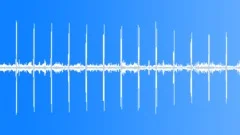 Woodland Evening Cotswold Birdsong 7 LoopSound Effect