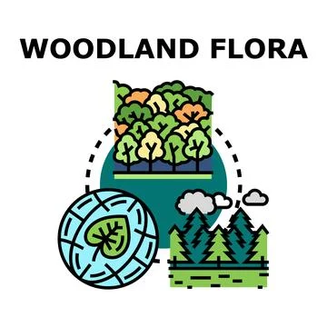 Woodland flora developing concept for environment protection Stock Illustration