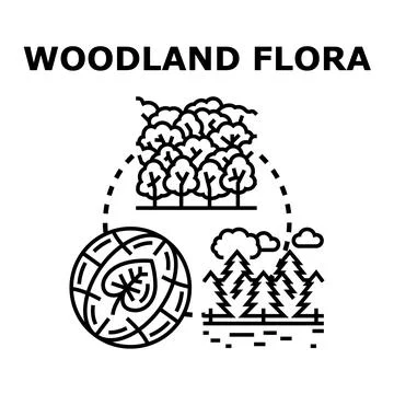 Woodland flora developing concept for environment protection Stock Illustration