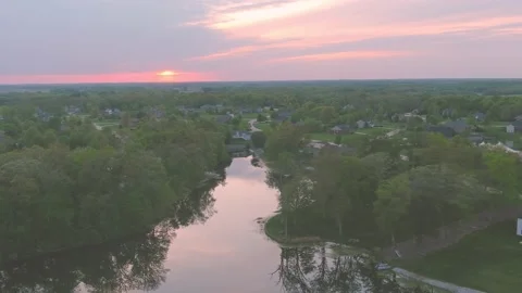 Woodland Stock Footage 239803491