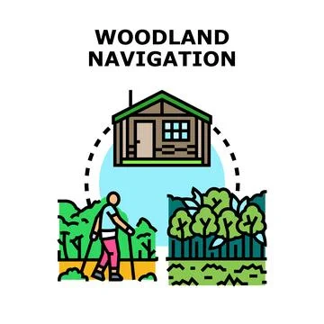 Woodland navigation concept, finding path in nature Stock Illustration