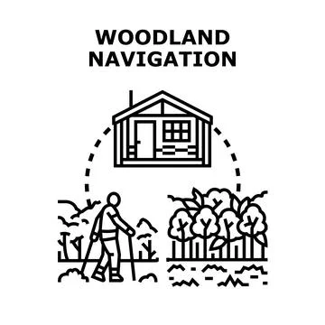 Woodland navigation concept, finding path in nature Stock Illustration
