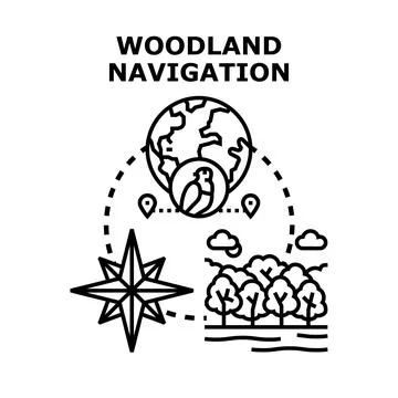 Woodland navigation exploring nature direction locating place Stock Illustration