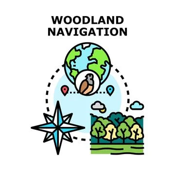 Woodland navigation exploring nature direction locating place Illustrazione stock