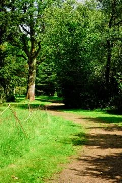 Woodland path Stock Photos