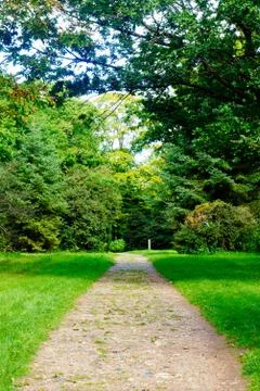 Woodland path Stock Photos