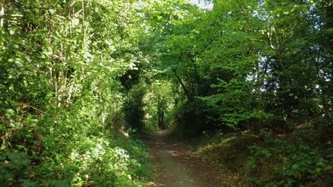 Woodland path in Reading, UK 動画素材 318192606