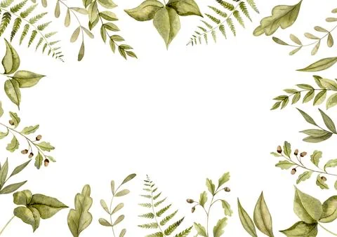 Woodland rectangular Frame. Hand drawn watercolor illustration with template for Stock Illustration