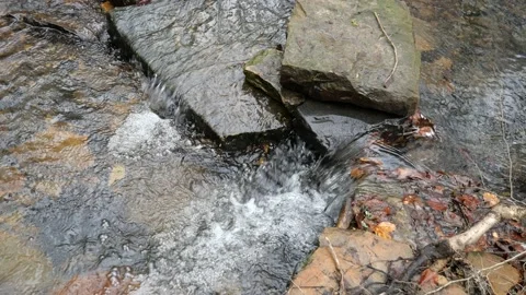 Woodland stream cascade Stock Footage 151544682