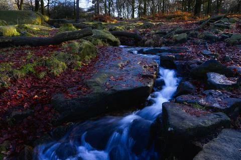 Woodland stream flows quickly between wet rocks. Stockfoto's