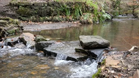 Woodland stream in winter Stock Footage 151544448