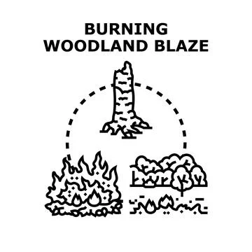 Woodland wildfire burning process environmental issue concept Stock Illustration