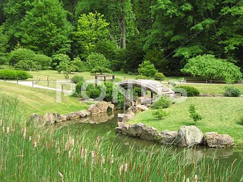 Woodland Wonder Stock Photos