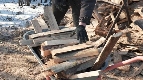 Woodman loading firewood into wheelbarrow Stock Footage 308577927