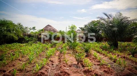 Woodoo Village of Ewe aka Gen people . Anfoin, Togo Stock Photos