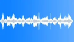 Woodpecker and other birds Sound Effect