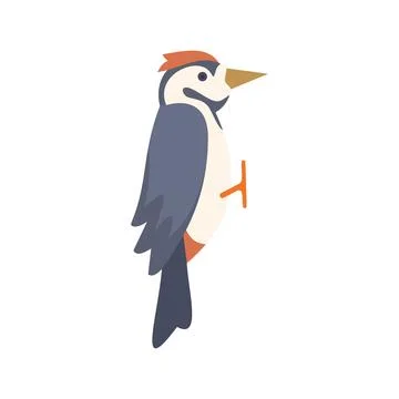 Woodpecker bird perching and looking around vector illustration Stock Illustration