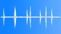 Woodpecker Bumblebee Forest Idyllic AtmosphereSound Effect