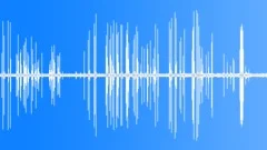 Woodpecker drumming, loud Sound Effect