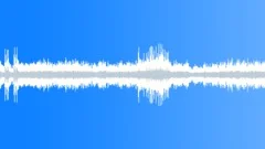 Woodpecker drumming in rainforestSound Effect