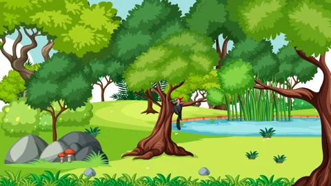 Woodpecker Stock Footage 232330895