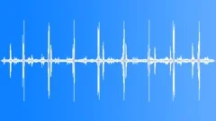 Woodpecker Forest Atmosphere Sound Effect