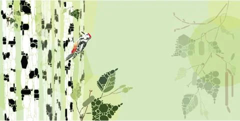 Woodpecker Stock Illustration