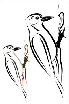 Woodpecker Stock Illustration