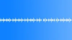 Woody Woodpecker Sound Effects ~ Woody Woodpecker Sounds | Pond5