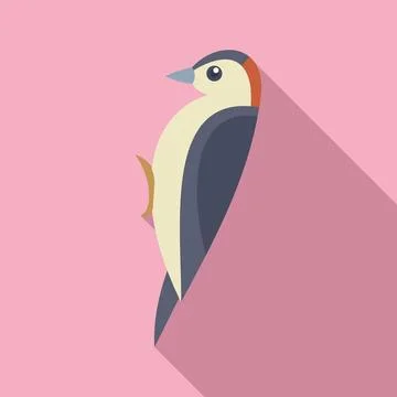 Woodpecker standing on pink background with shadow Stock Illustration