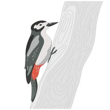 Woodpecker on Tree Branch Flat Vector Illustration Stock Illustration
