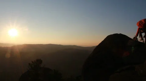 Woodpecker on a tree Video stock 29947642