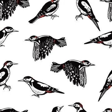 Woodpecker. Vector   pattern. Stock Illustration