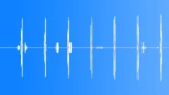 Woodpeckers In An Old Growth ForestSound Effect