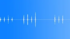 Woodpeckers in spaceSound Effect