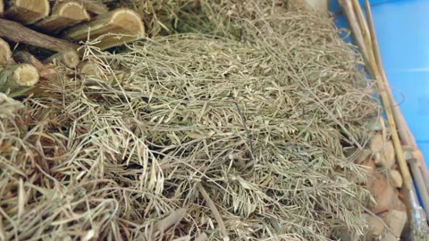Woodpile and stack of dry olive tree branches in storehouse prepared for heating Stock Footage 302449253