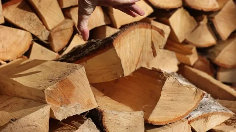 Woodpile Video stock 236947426