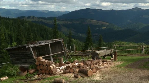 Woodpile in the mountains Stock Footage 71153575