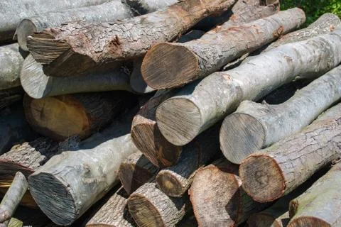 Woodpile Stock Photos
