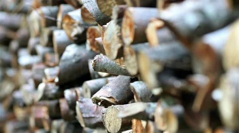 Woodpile in the rain Stock Footage 44413530