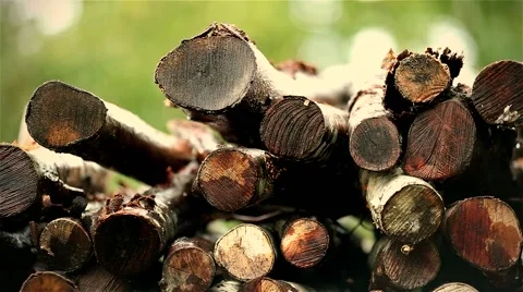 Woodpile in the rain Stock Footage 44413751