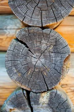Woodpile in section Stock Photos