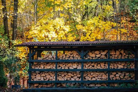 A woodpile with split logs under a simple roof framed by yellow autumn leaves Stock Photos