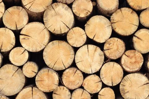 Woodpile stack of round logs of trees, abstract background texture for your 스톡 사진