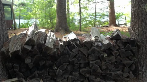 Woodpile_01 Stock Footage 956981
